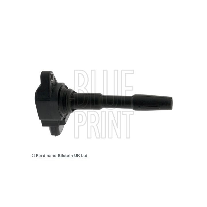 Ritė, uždegimas BLUE PRINT ADN114239