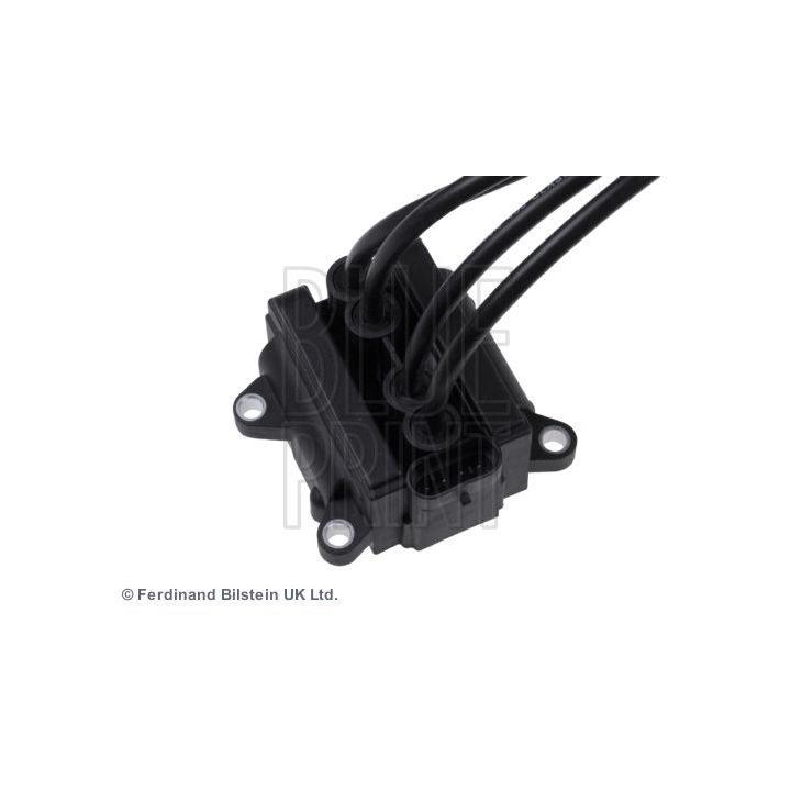 Ritė, uždegimas BLUE PRINT ADN11488