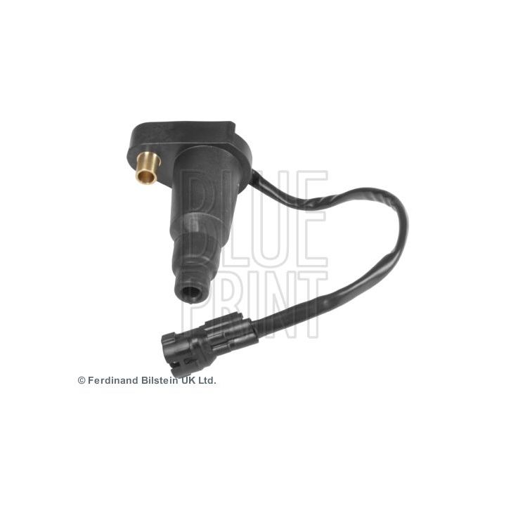 Ritė, uždegimas BLUE PRINT ADS71476