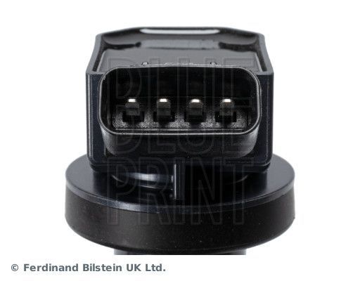 Ritė, uždegimas BLUE PRINT ADT314115