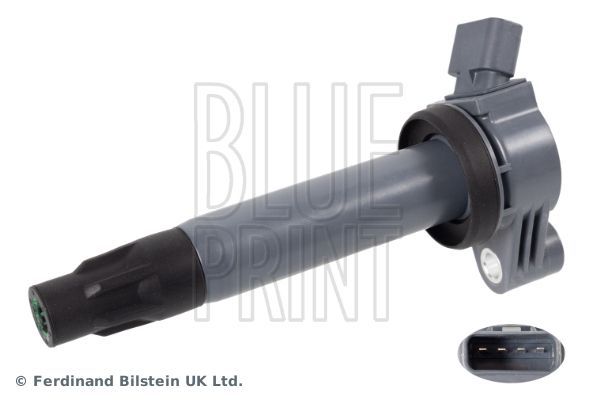 Ritė, uždegimas BLUE PRINT ADT314122