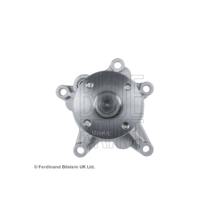 Vandens siurblys, variklio aušinimas BLUE PRINT ADG09162