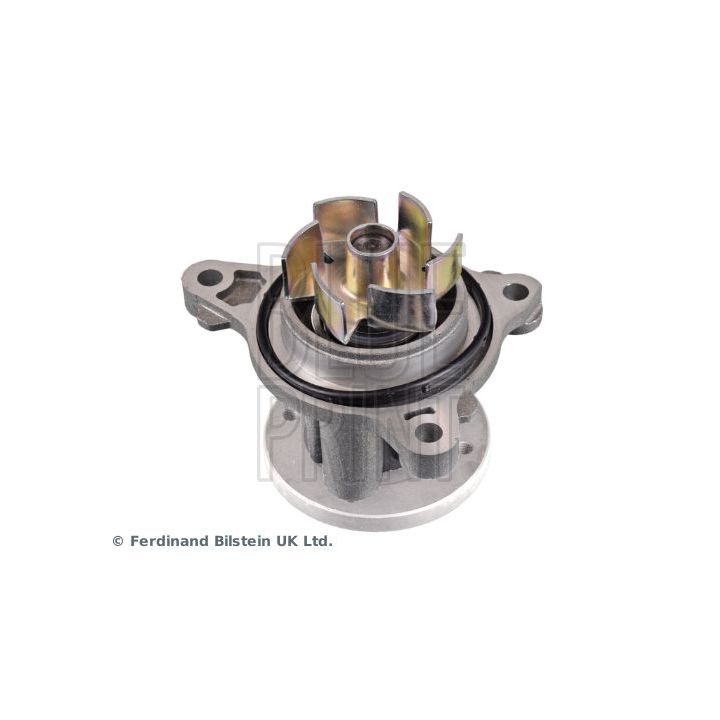 Vandens siurblys, variklio aušinimas BLUE PRINT ADG09190