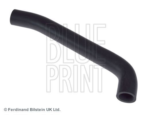 žarna, karterio alsuoklis BLUE PRINT ADJ136104