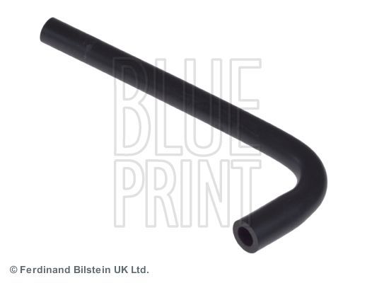 žarna, karterio alsuoklis BLUE PRINT ADJ136106