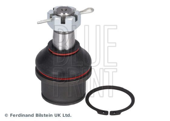 Šarnyras / girgždukas BLUE PRINT ADG086147