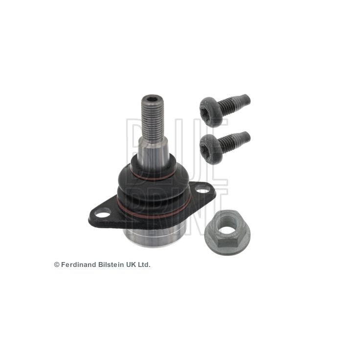 Šarnyras / girgždukas BLUE PRINT ADJ138631