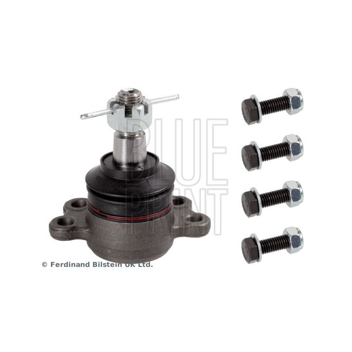 Šarnyras / girgždukas BLUE PRINT ADZ98605