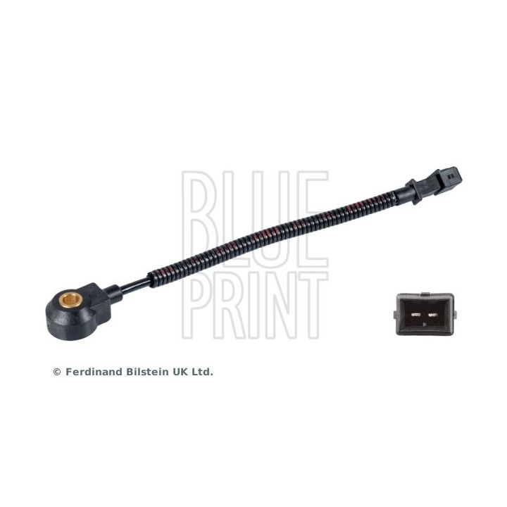 Detonacijos jutiklis BLUE PRINT ADG072123