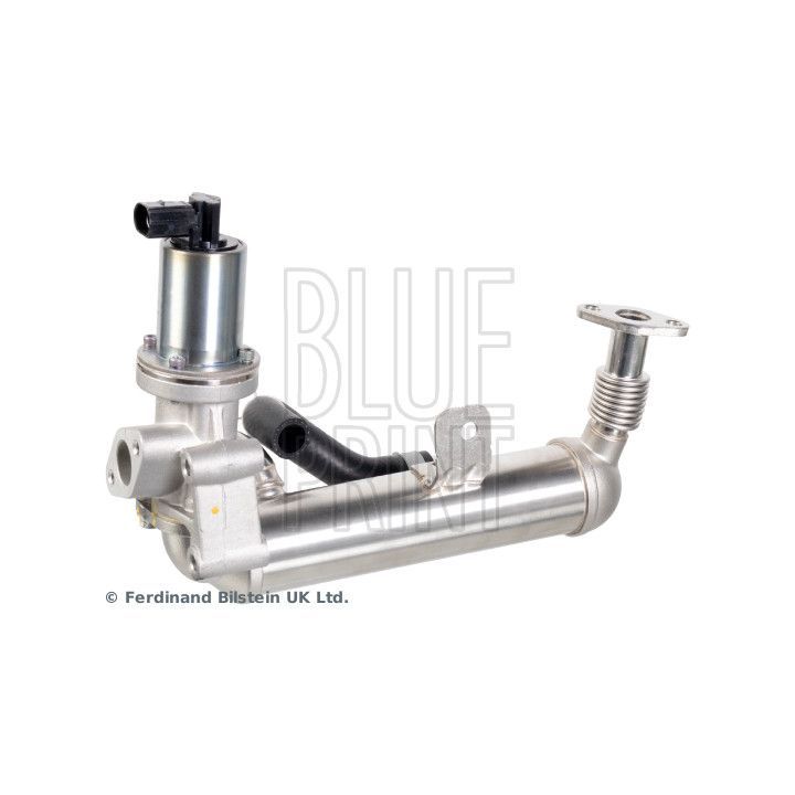 ERG modulis BLUE PRINT ADBP720023