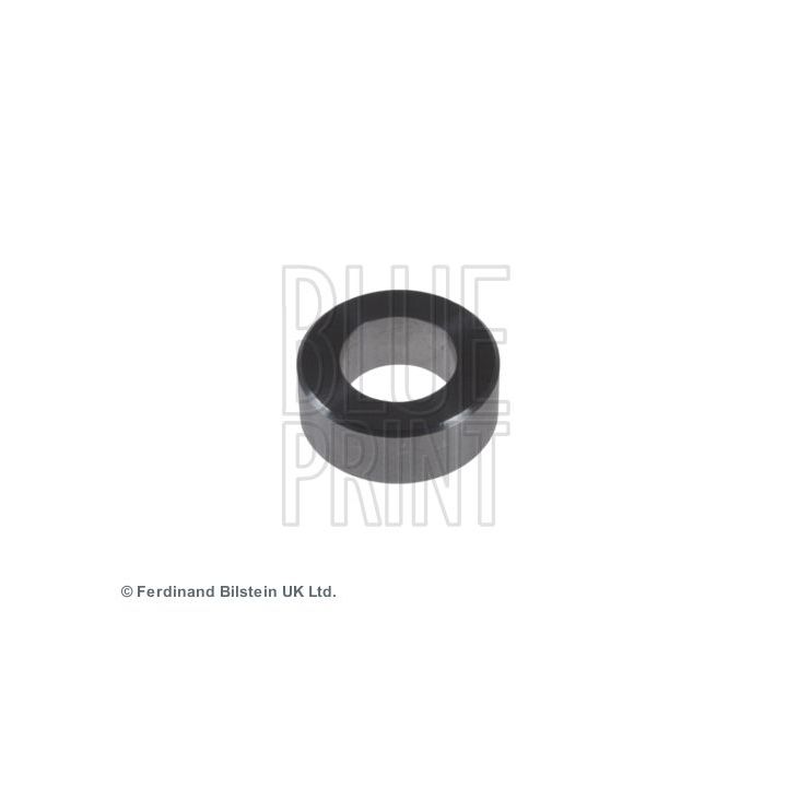 Guolis, automatinė pavarų dėžė BLUE PRINT ADN13327