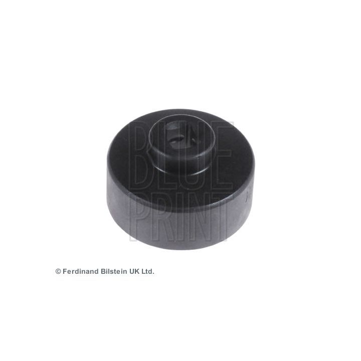 Alyvos filtro veržliaraktis BLUE PRINT ADG05519
