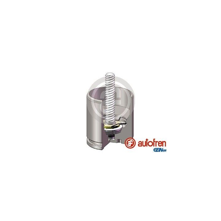 Stūmoklis, stabdžių apkaba AUTOFREN SEINSA D025682K