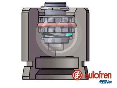 Stūmoklis, stabdžių apkaba AUTOFREN SEINSA D025712K