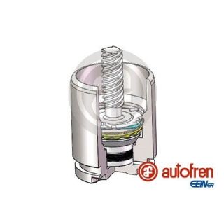 Stūmoklis, stabdžių apkaba AUTOFREN SEINSA D025816K