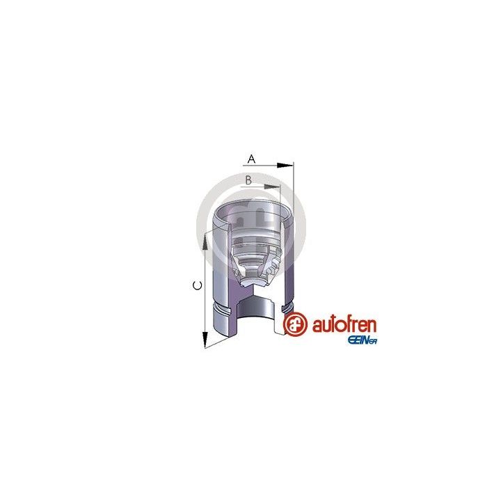 Stūmoklis, stabdžių apkaba AUTOFREN SEINSA D02589