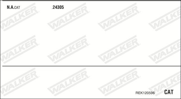 Išmetimo sistema WALKER REK120596