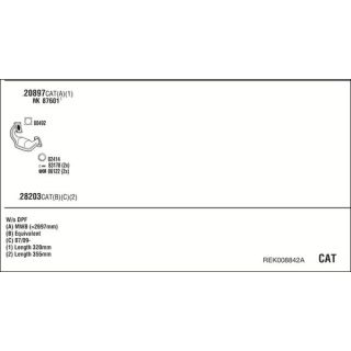 Išmetimo sistema WALKER REK008842A