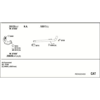 Išmetimo sistema WALKER REK023493