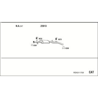 Išmetimo sistema WALKER REK011709