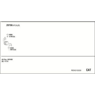 Išmetimo sistema WALKER REK015530