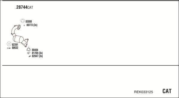 Išmetimo sistema WALKER REK033125