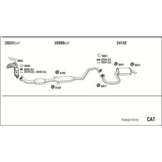 Išmetimo sistema WALKER TOK017219