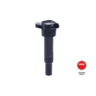 Ritė, uždegimas NGK 49059