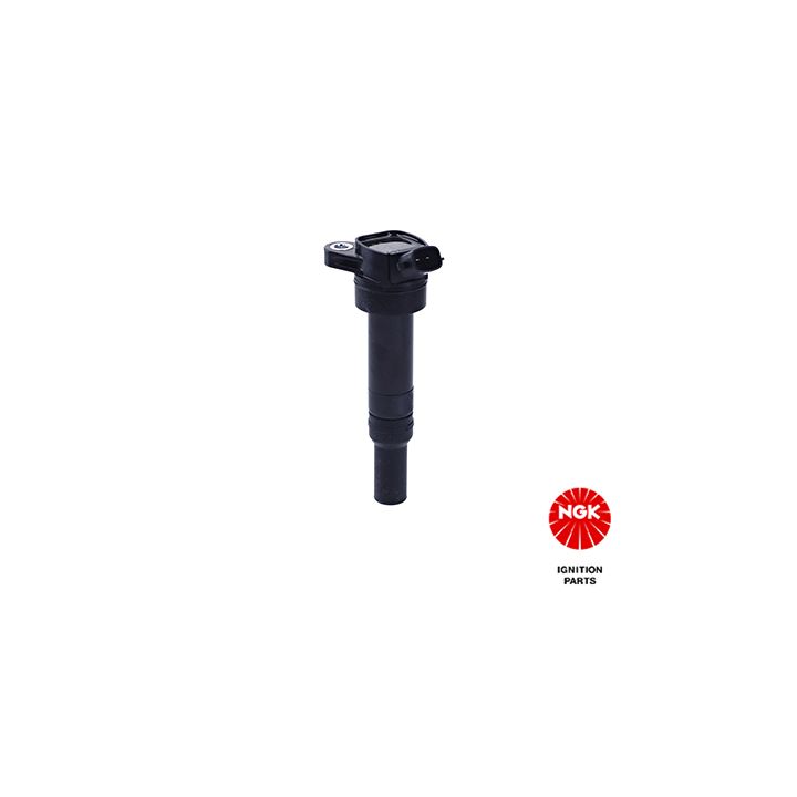 Ritė, uždegimas NGK 49059