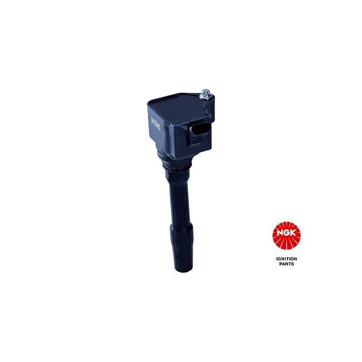 Ritė, uždegimas NGK 49061