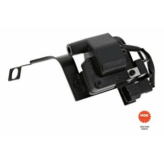 Ritė, uždegimas NGK 49063