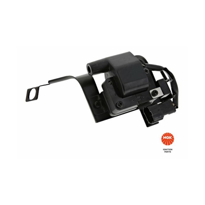 Ritė, uždegimas NGK 49063