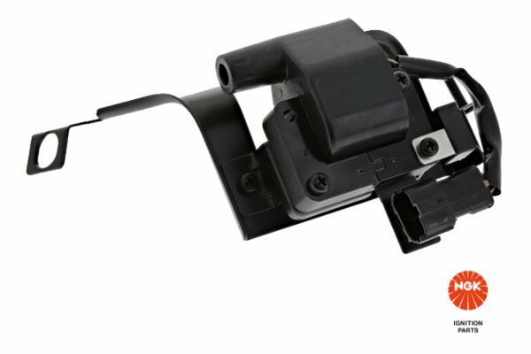 Ritė, uždegimas NGK 49063