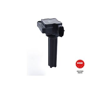 Ritė, uždegimas NGK 49066