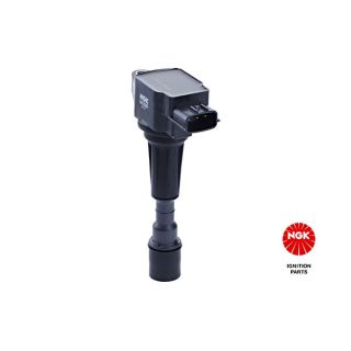 Ritė, uždegimas NGK 49068