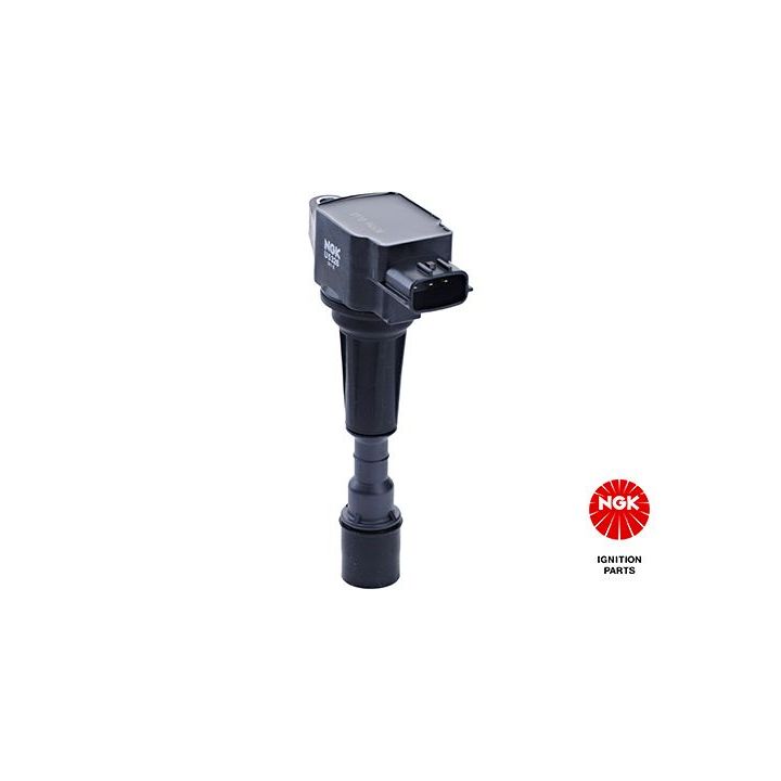 Ritė, uždegimas NGK 49068