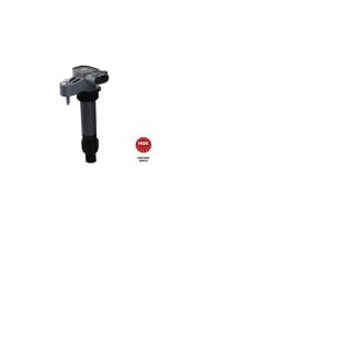 Ritė, uždegimas NGK 49072