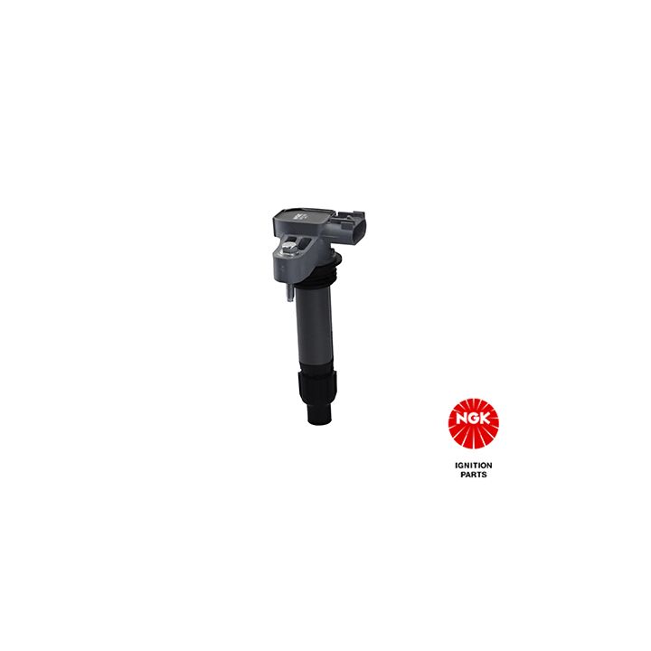 Ritė, uždegimas NGK 49072