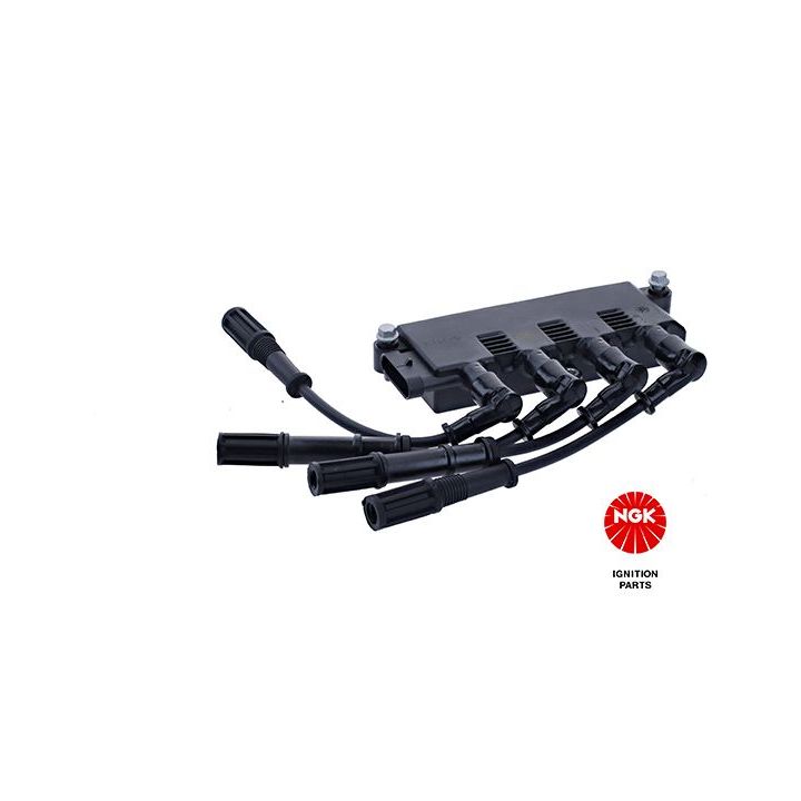 Ritė, uždegimas NGK 49086