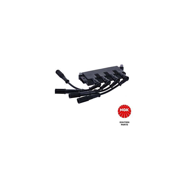 Ritė, uždegimas NGK 49086