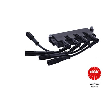 Ritė, uždegimas NGK 49086