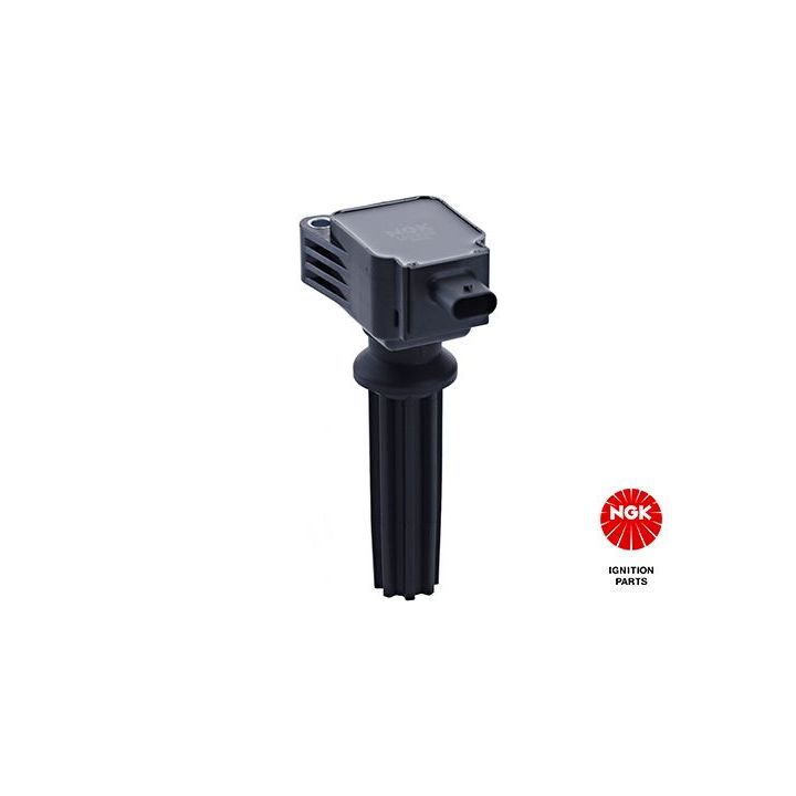 Ritė, uždegimas NGK 49098