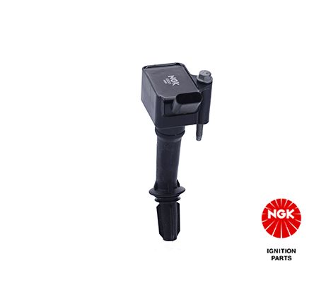 Ritė, uždegimas NGK 49099