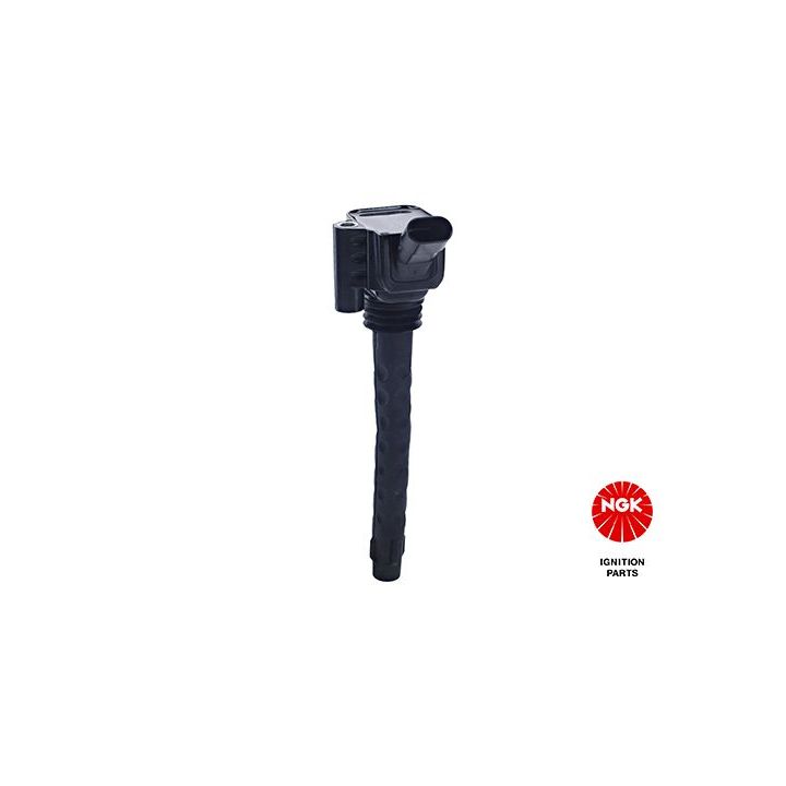 Ritė, uždegimas NGK 49133