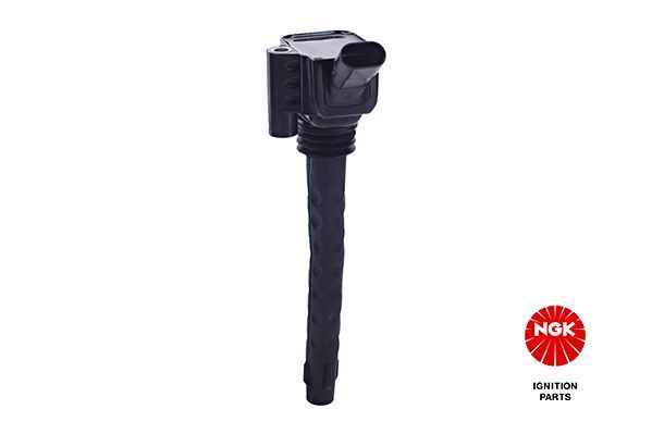 Ritė, uždegimas NGK 49133