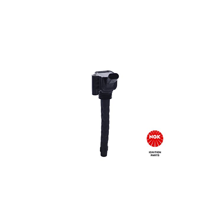 Ritė, uždegimas NGK 49133