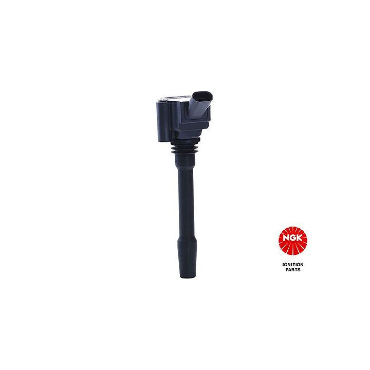 Ritė, uždegimas NGK 49400