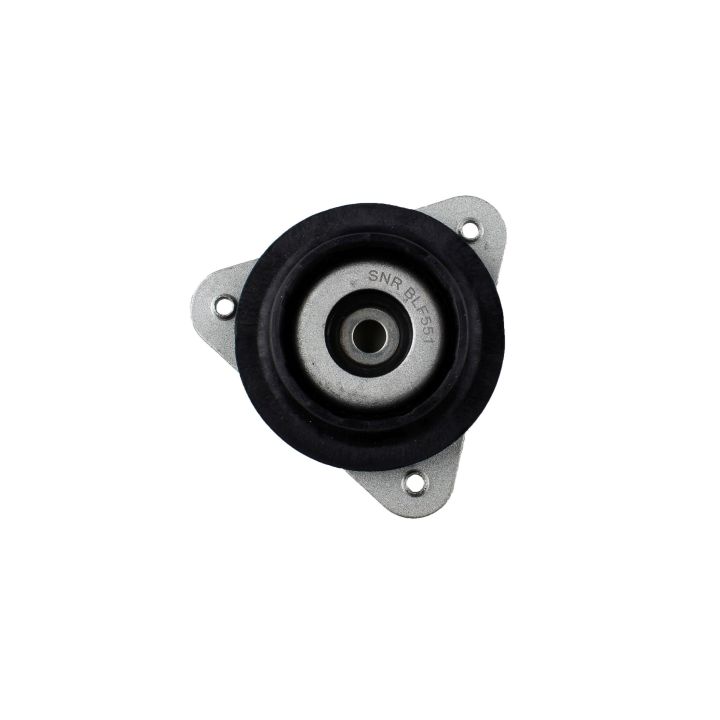 Pakabos statramsčio atraminis guolis BILSTEIN 12-303885