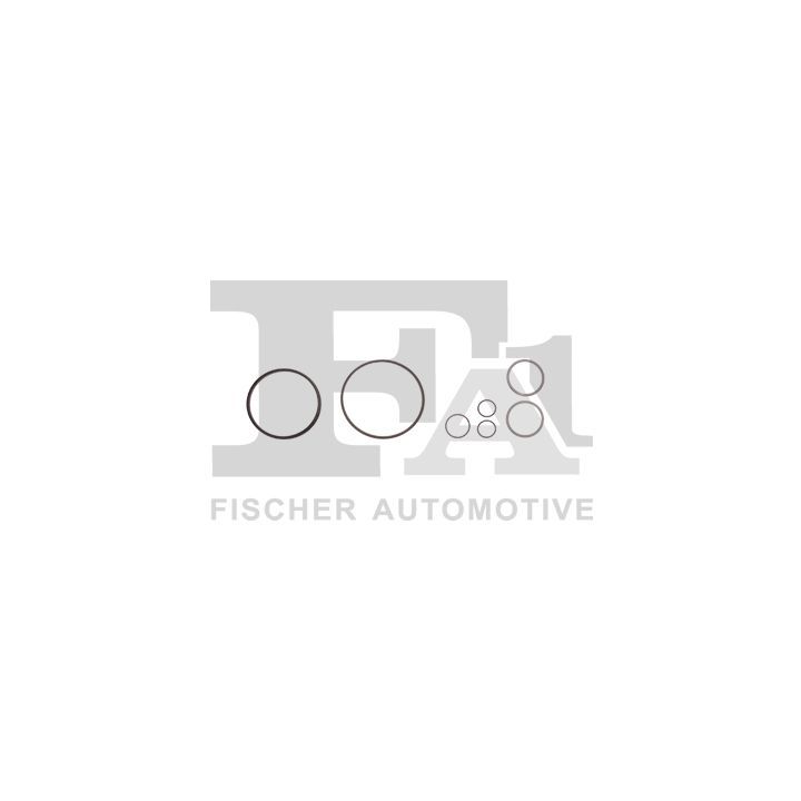 Montavimo komplektas, kompresorius FA1 KT160050E