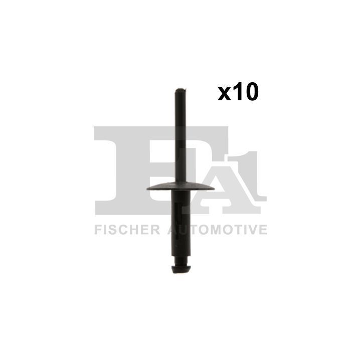 Aklinųjų kniedžių asortimentas FA1 10-20020.10